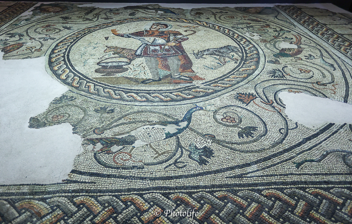 Un mosaico di epoca romana trovato ad Aquileia